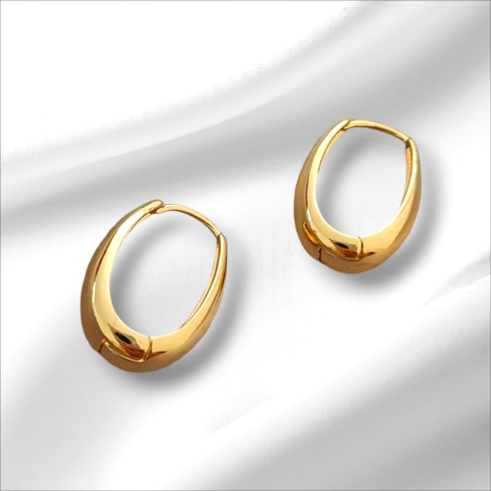 Gold-Plated Hoop Latch Back Earrings